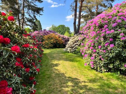 23-06-03 16-35-54 5784